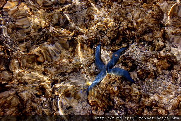 C360_2013-09-18-08-38-32-490.jpg C360_2013-09-18-08-38-32-490.jpg