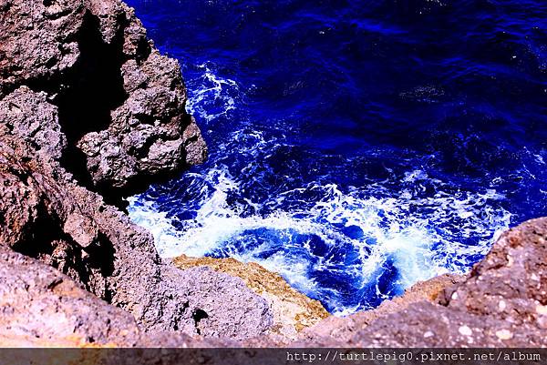 IMG_4117.JPG IMG_4117.JPG