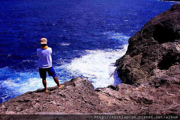 IMG_4120.JPG IMG_4120.JPG