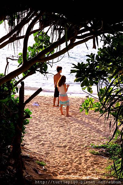 IMG_4123.JPG IMG_4123.JPG