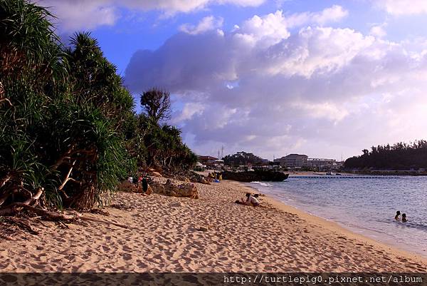 IMG_4124.JPG IMG_4124.JPG