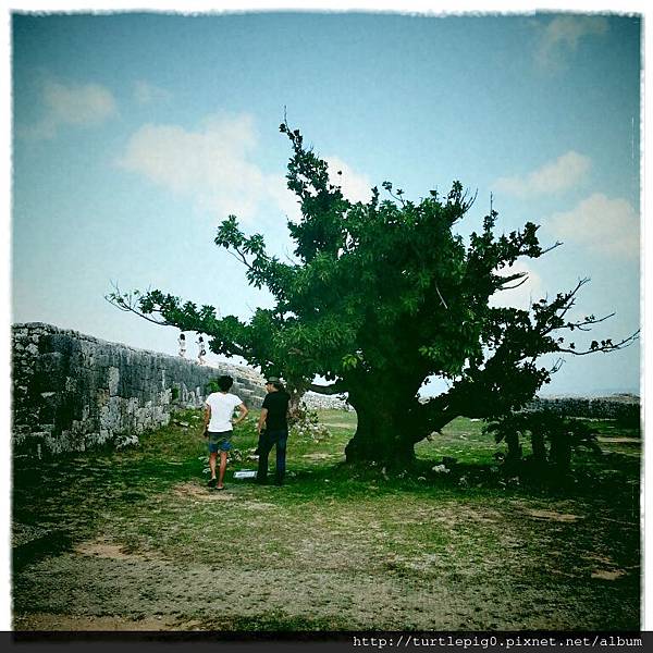 IMG_0048.JPG IMG_0048.JPG