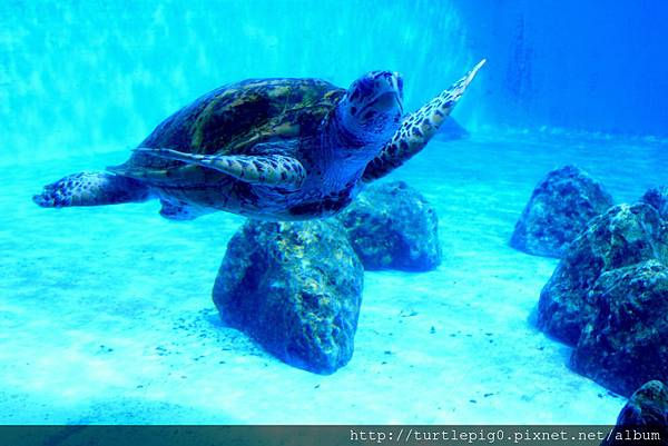 IMG_4207.JPG IMG_4207.JPG