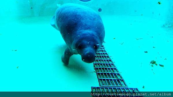 C360_2013-09-19-10-44-06-653.jpg C360_2013-09-19-10-44-06-653.jpg