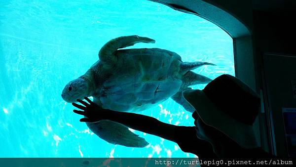 C360_2013-09-19-10-51-29-871.jpg C360_2013-09-19-10-51-29-871.jpg