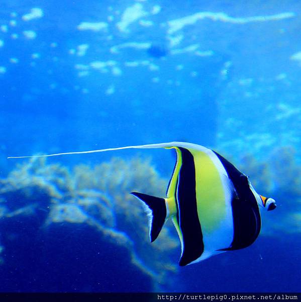 IMG_4212.JPG IMG_4212.JPG