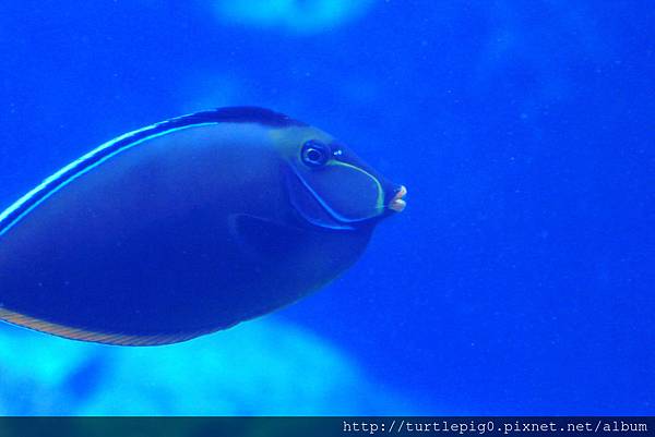 IMG_4217.JPG IMG_4217.JPG