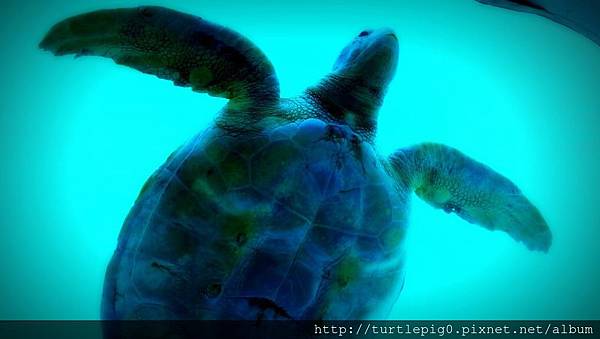 C360_2013-09-19-10-54-43-651.jpg C360_2013-09-19-10-54-43-651.jpg