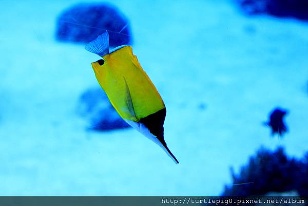 IMG_4226.JPG IMG_4226.JPG