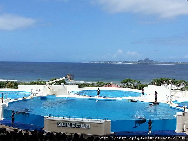 20130919_110228 (2).jpg 20130919_110228 (2).jpg