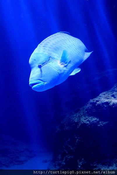 IMG_4241.JPG IMG_4241.JPG