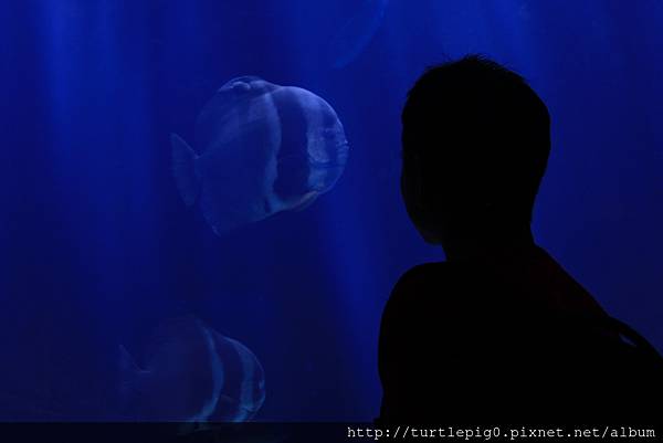 IMG_4244.JPG IMG_4244.JPG