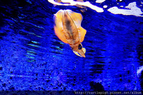 IMG_4251.JPG IMG_4251.JPG