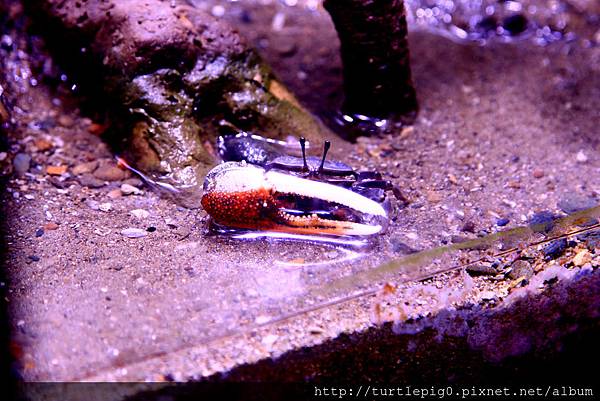 IMG_4253.JPG IMG_4253.JPG