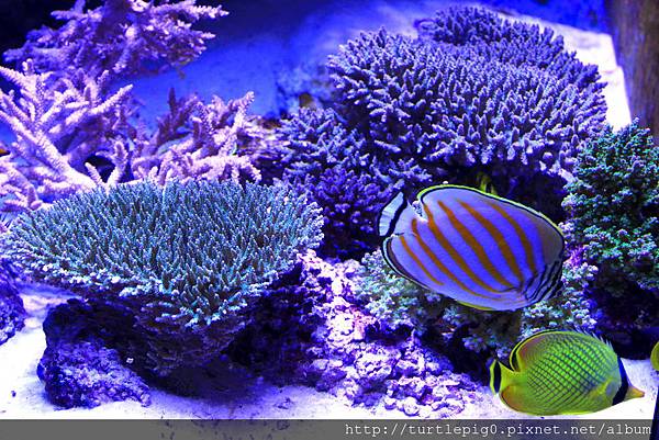 IMG_4255.JPG IMG_4255.JPG