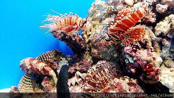 C360_2013-09-19-12-00-02-815.jpg C360_2013-09-19-12-00-02-815.jpg