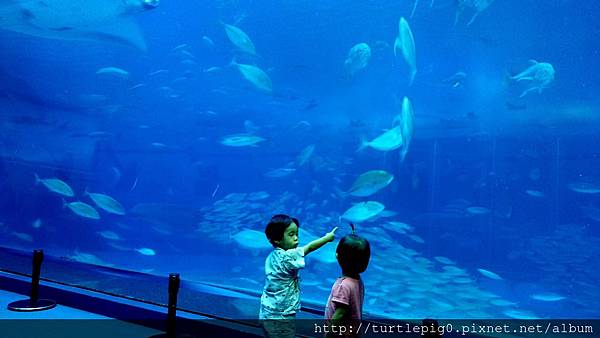 C360_2013-09-19-13-04-44-344.jpg C360_2013-09-19-13-04-44-344.jpg