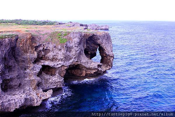 IMG_4345.JPG IMG_4345.JPG