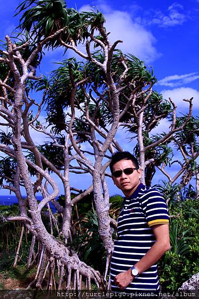 IMG_4357.JPG IMG_4357.JPG