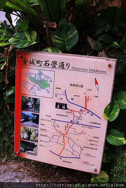 IMG_4384.JPG IMG_4384.JPG