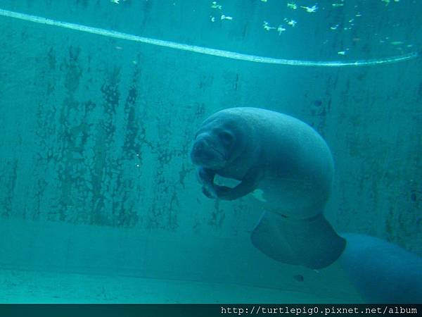 IMG_0045-3.jpg IMG_0045-3.jpg