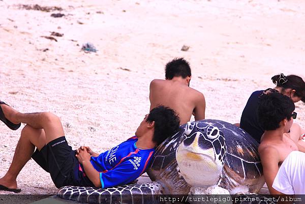 IMG_4426.JPG IMG_4426.JPG