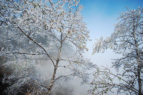 DSC_4829.JPG DSC_4829.JPG