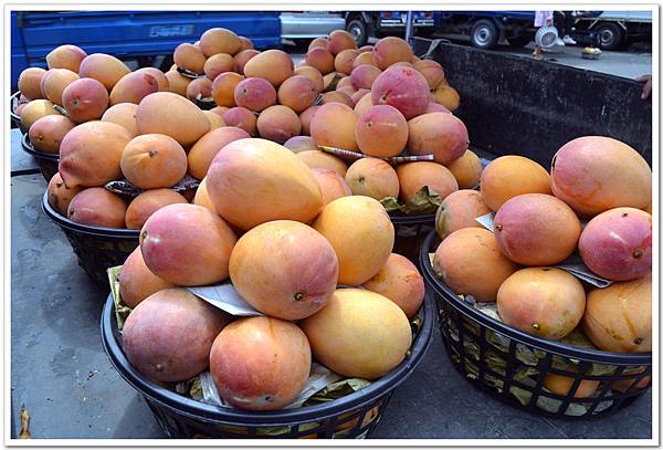 nEO_IMG_DSC_0577.jpg nEO_IMG_DSC_0577.jpg