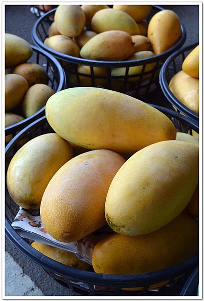 nEO_IMG_DSC_0583.jpg nEO_IMG_DSC_0583.jpg