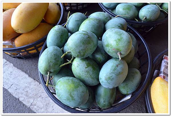 nEO_IMG_DSC_0587.jpg nEO_IMG_DSC_0587.jpg