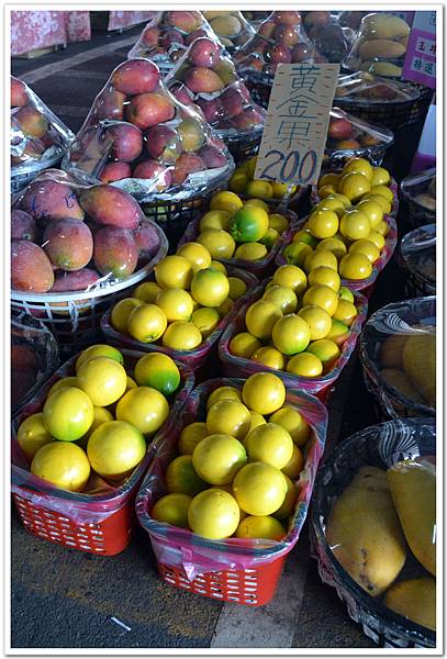 nEO_IMG_DSC_0590.jpg nEO_IMG_DSC_0590.jpg