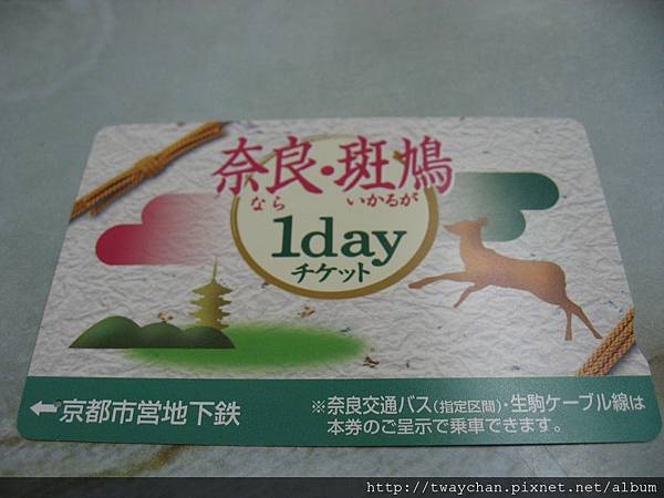 IMG_2095 IMG_2095