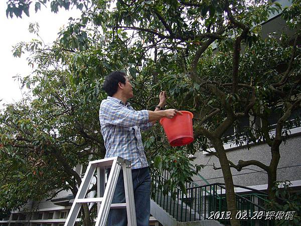 P1150040 P1150040