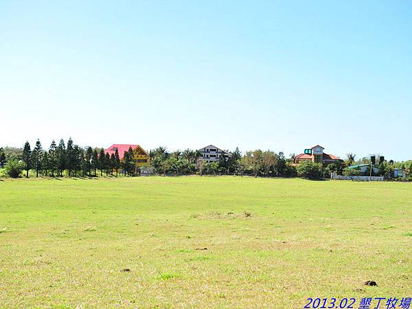 DSC_0706 DSC_0706