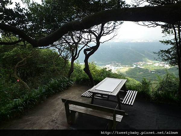 馬頭厝山.大棟山.新嶺山步道.大湖頂山.大棟尾山.一貫道忠恕道院 072.JPG 馬頭厝山.大棟山.新嶺山步道.大湖頂山.大棟尾山.一貫道忠恕道院 072.JPG