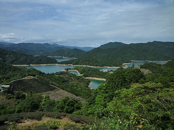 永安八卦茶園.金面大觀.虎字碑.鴻子口山.25號造林地基石 008 永安八卦茶園.金面大觀.虎字碑.鴻子口山.25號造林地基石 008