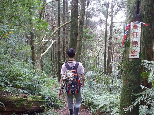 紅河谷越嶺古道熊空段.加九嶺 104 紅河谷越嶺古道熊空段.加九嶺 104