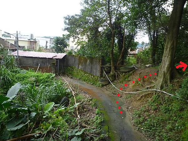 蘇厝山.王公坑山 037