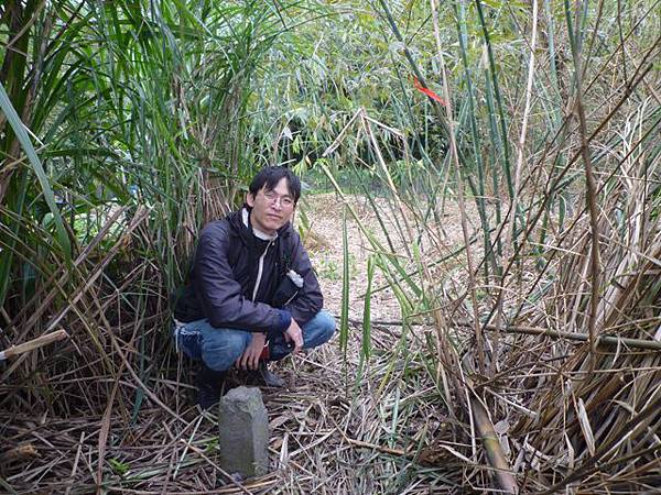 蘇厝山.王公坑山 047 蘇厝山.王公坑山 047