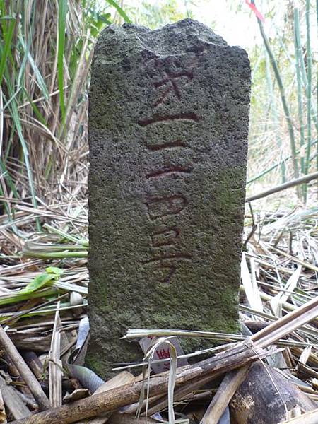 蘇厝山.王公坑山 048