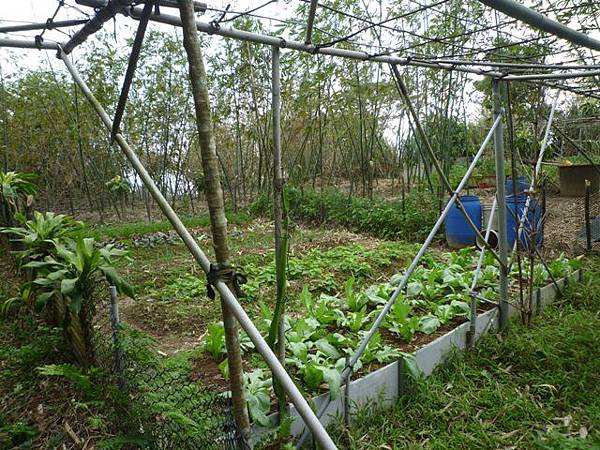 蘇厝山.王公坑山 056 蘇厝山.王公坑山 056