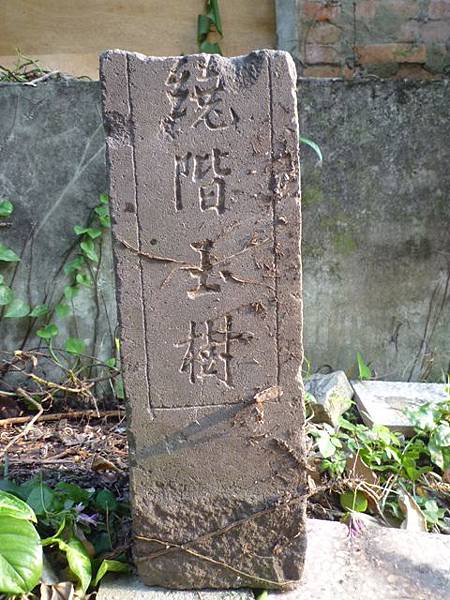 木柵國小台北州第九号基石.繞階玉樹 063 木柵國小台北州第九号基石.繞階玉樹 063
