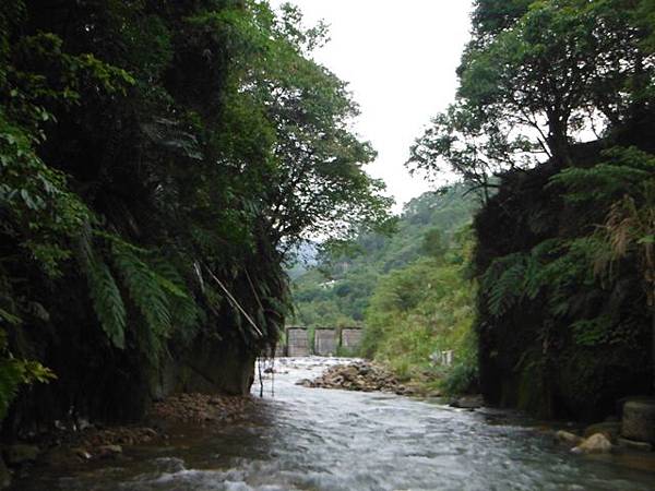 鵠鵠崙.東山瀑布.石門峽谷 096 鵠鵠崙.東山瀑布.石門峽谷 096