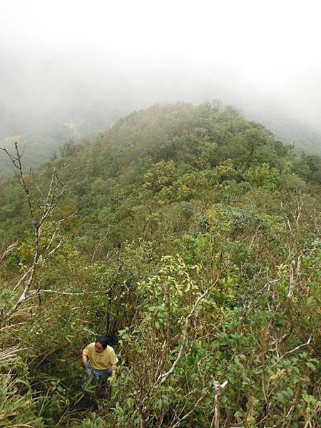 溝乾子山.四堵山 049 溝乾子山.四堵山 049