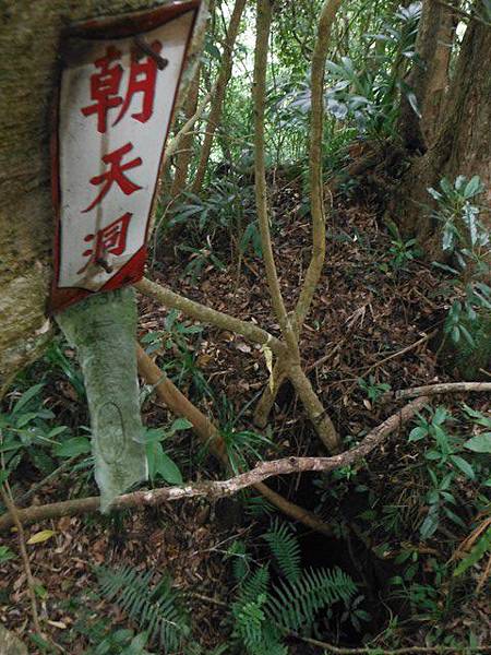 崩山大崙北峰.朝天洞 082 崩山大崙北峰.朝天洞 082