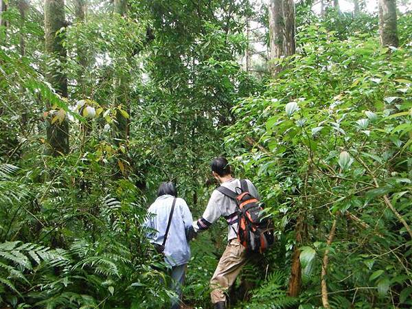 大保克山西峰.內洞瀑布 057