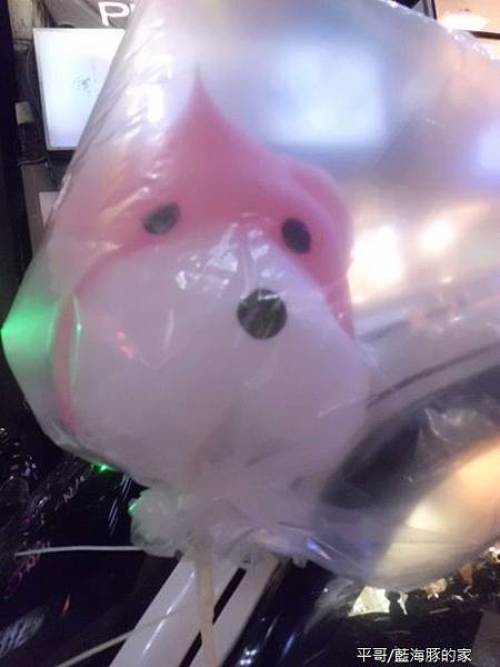 CIMG2505 (480x640).jpg