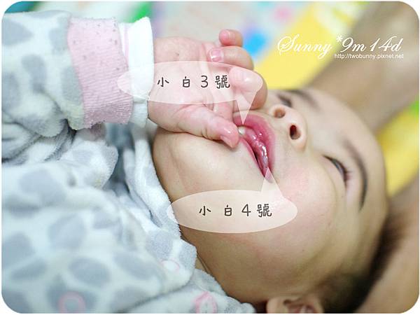 9m15d-01.jpg 9m15d-01.jpg