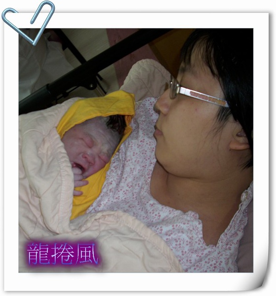img0003.JPG img0003.JPG