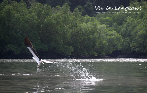 IMG_1980 copy.jpg IMG_1980 copy.jpg